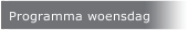 Programma woensdag